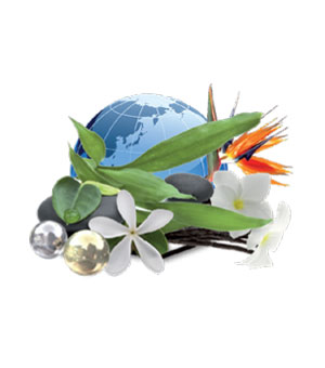 картинка Аромат для сауны Camylle Полинезия 