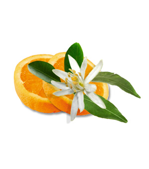 картинка Аромат для сауны Camylle Цветок апельсина 